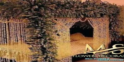 M.S FLOWER DECORATOR, NEW DELHI